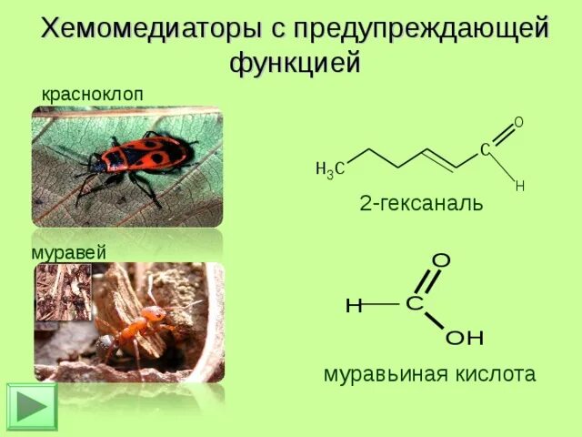 Муравьиная кислота. Муравьиная кислота формула. Муравьиная кислота роль. Муравьиная кислота в природе. Составьте структурную формулу муравьиной кислоты