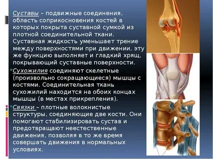 Соединение суставов