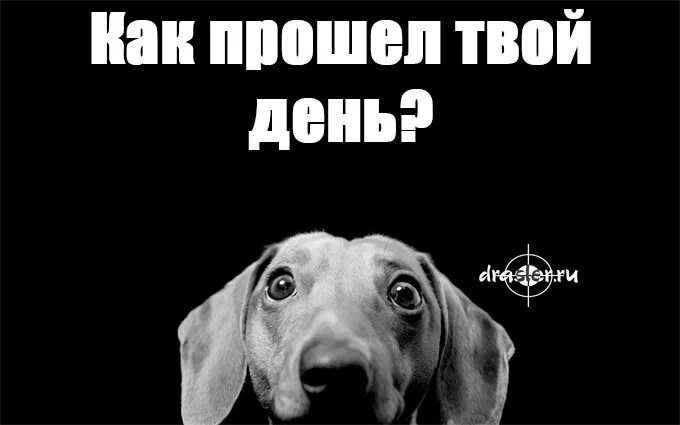День длится. Как прошел твой день прикольные картинки. как прошёл твой день. как прошел день картинки. как проходит твой день картинки.