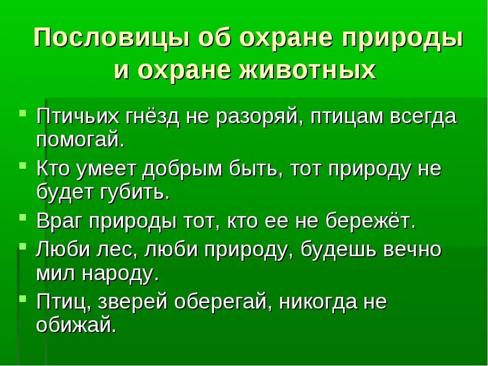 Человек природе пословица. Пословицы об охране природы. Пословицы о любви к природе и бережном отношении. Пословицы о природе. Пословицы о любви к природе.