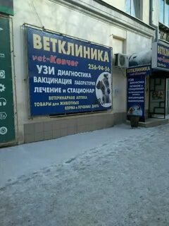 Ковчег ветаптека