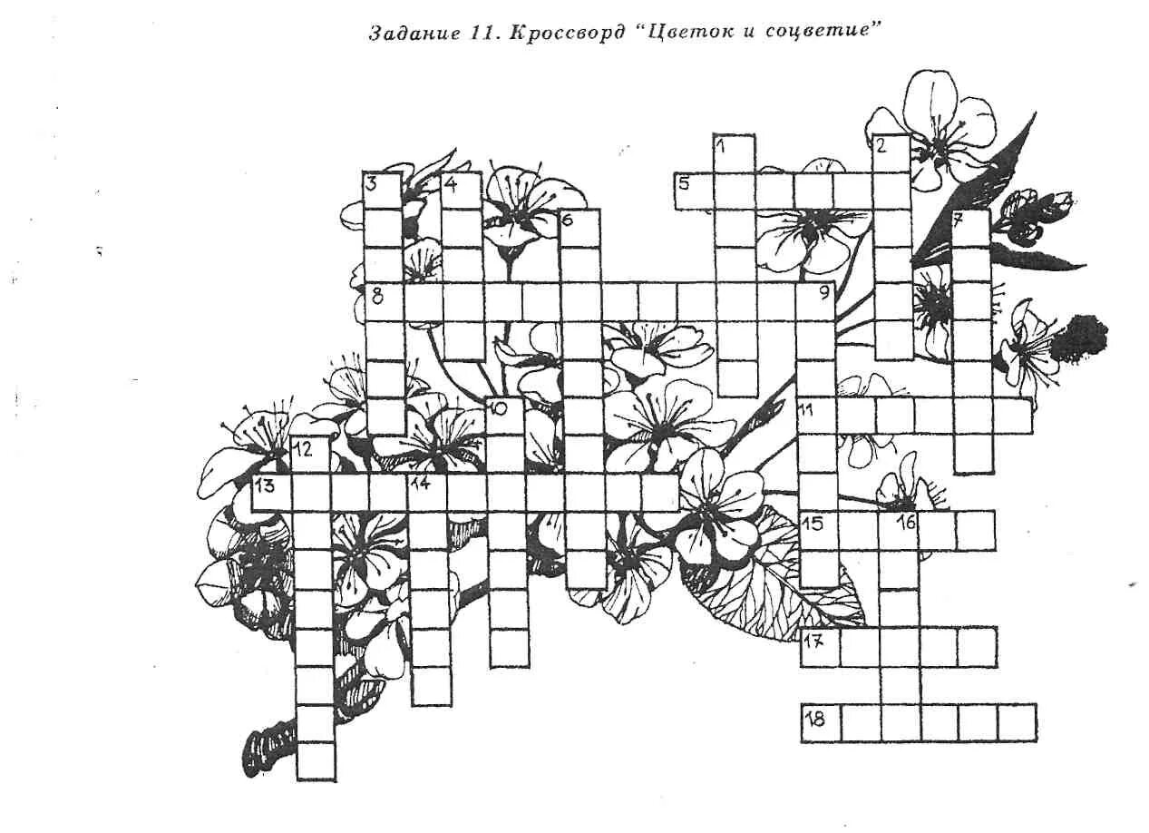 Кроссворд растения и животные океана. Кроссворд по ботанике. Кроссворд цветы. Кроссворд на тему цветов. Кроссворд на тему цветы.