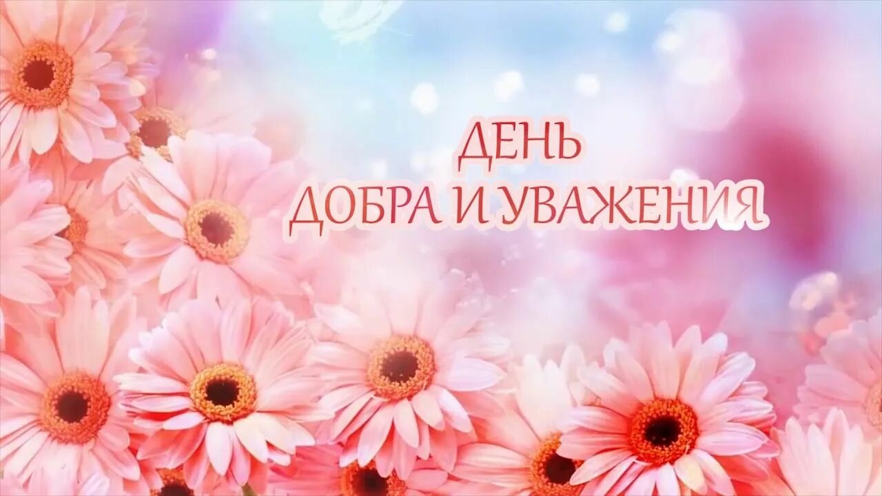 День добра и уважения. День добра и уважения логотип. День добра и уважения. 1 октября день добра и уважения. С днем мудрости добра и уважения.
