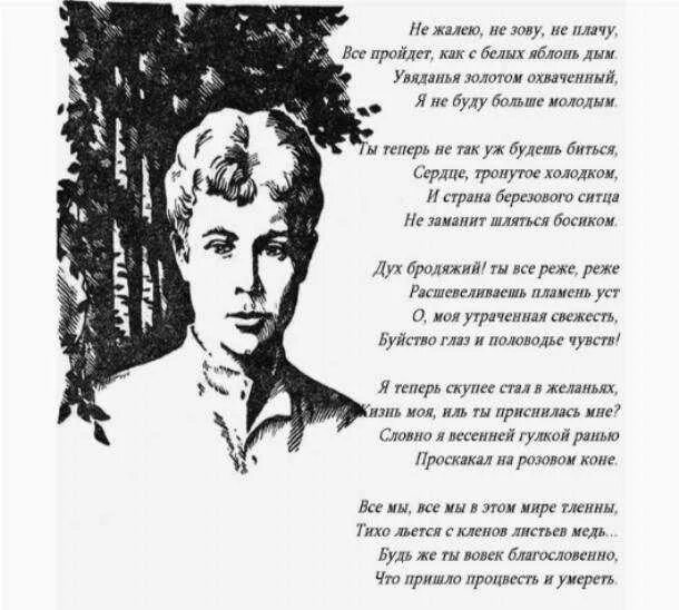 Все стало вокруг слова. Есенин с. "стихи". Стихи Есенина. Стихи Сергея Есенина.