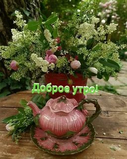 Доброе утро ниночка