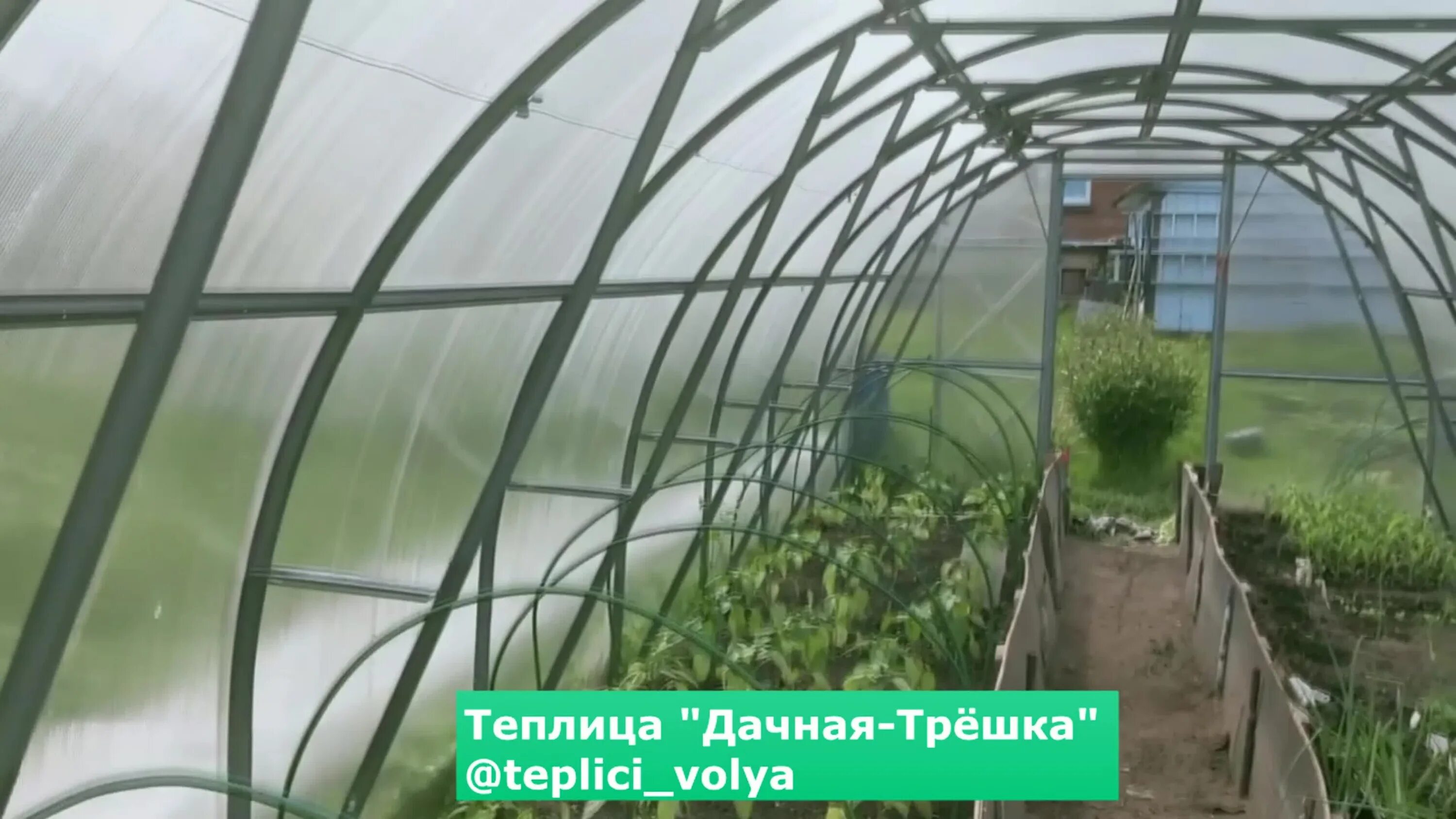 Дачная трешка воля. Теплица воля дачная стрелка 6м. каркас теплицы воля дачная-трешка 210х300см. теплица пристенная 150*300 h=200. теплицы воля дубна.
