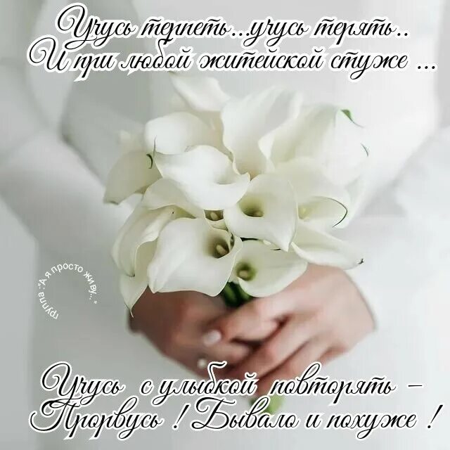 стихи про ольгу. стихи о боли в сердце. стих сказало сердце не могу душа. стихи о боли в душе. стихи.