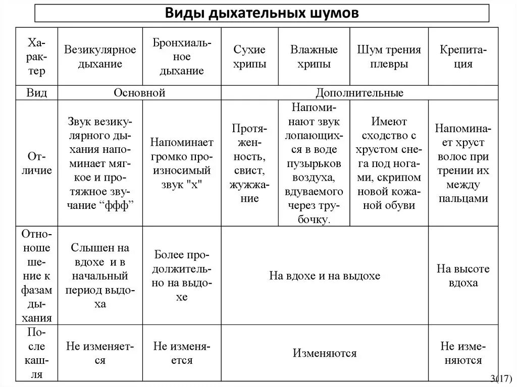 Звуки бронхита. Типы дыхания аускультативно. Типы дыхания при аускультации. Виды дыхания при аускультации легких. Основные и побочные дыхательные шумы.