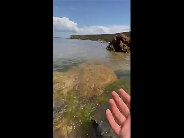 Покажите мне рыбу как пустынный пляж. Покажите мне рыбу как пустынный пляж