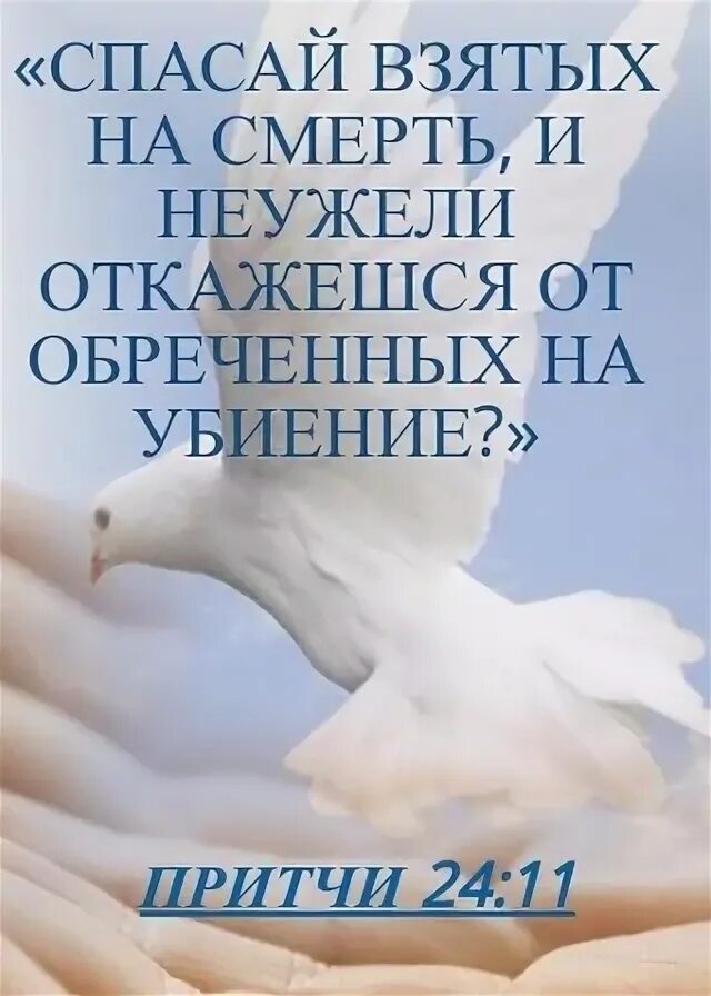 Спасай взятых на смерть библия. Спасайте взятых на смерть. Спасай взятых на смерть библия. Спасай взятых на смерть библия. Спасай взятых на смерть.