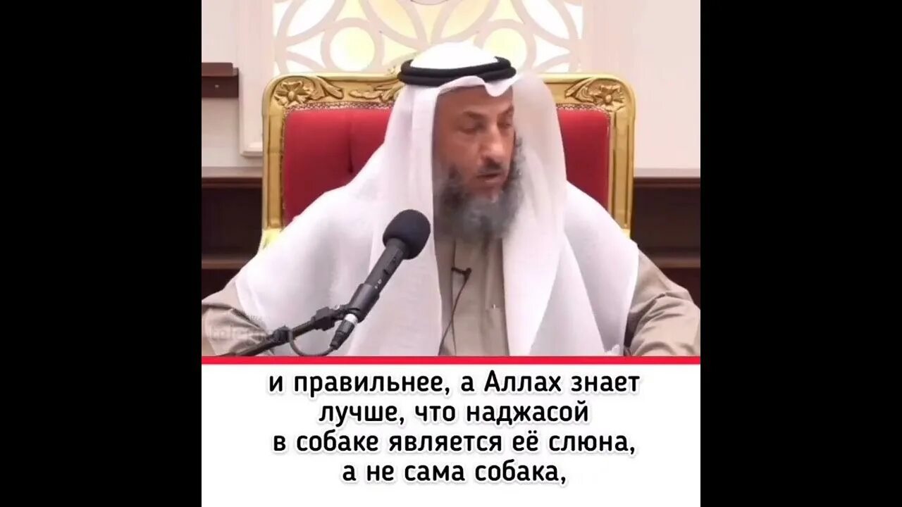 Наджас в исламе. Наджаса в Исламе что это. Наджас хадис. Легкая наджаса. Собака Шейх.