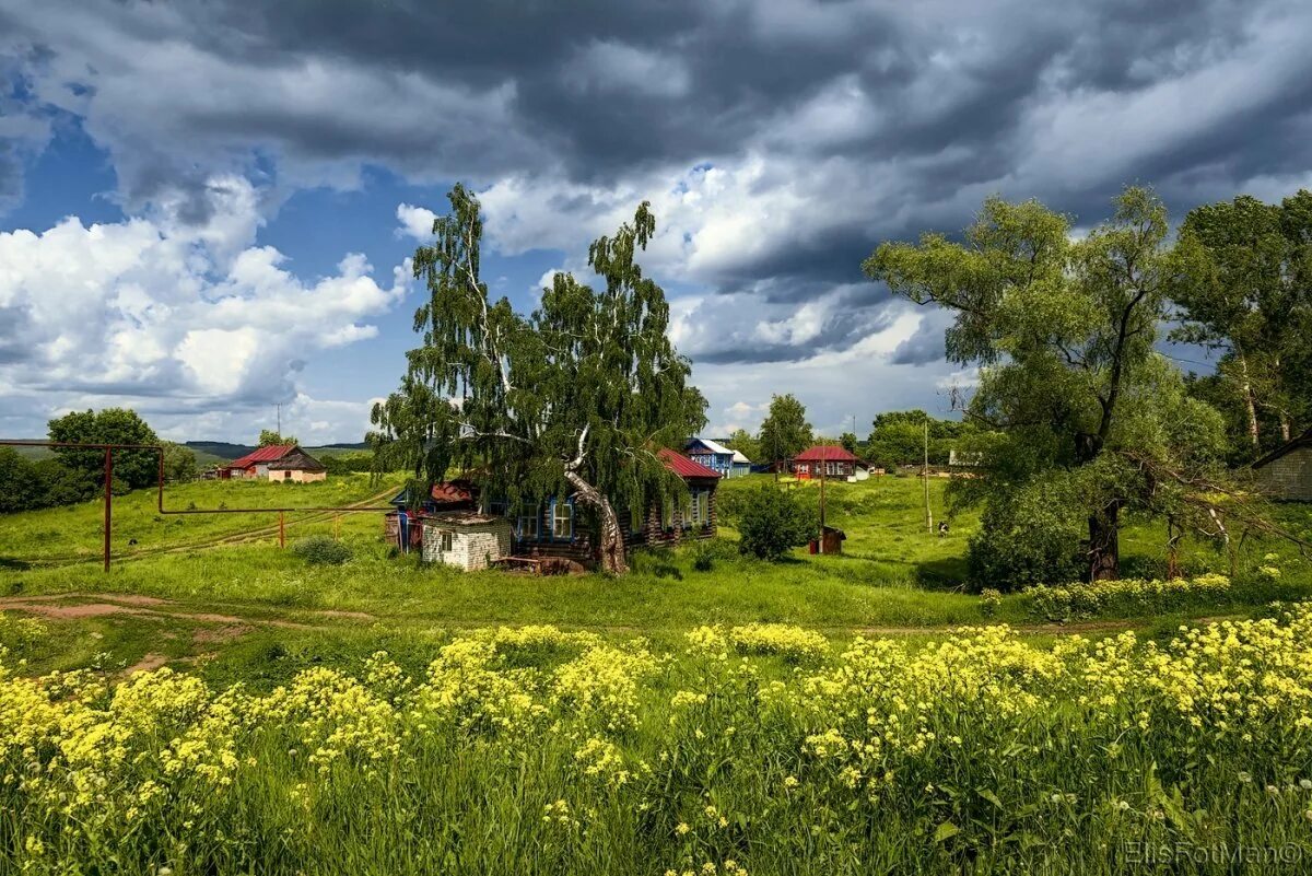 Сельская. Деревенские тропинки Марий Эл. Церковище Псковская область. Деревня Мегра Вологодская пейзаж. Деревня деревенька Вологодская область.