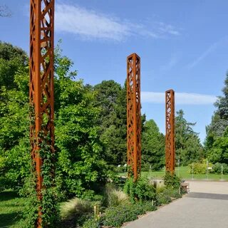 Лес колонн