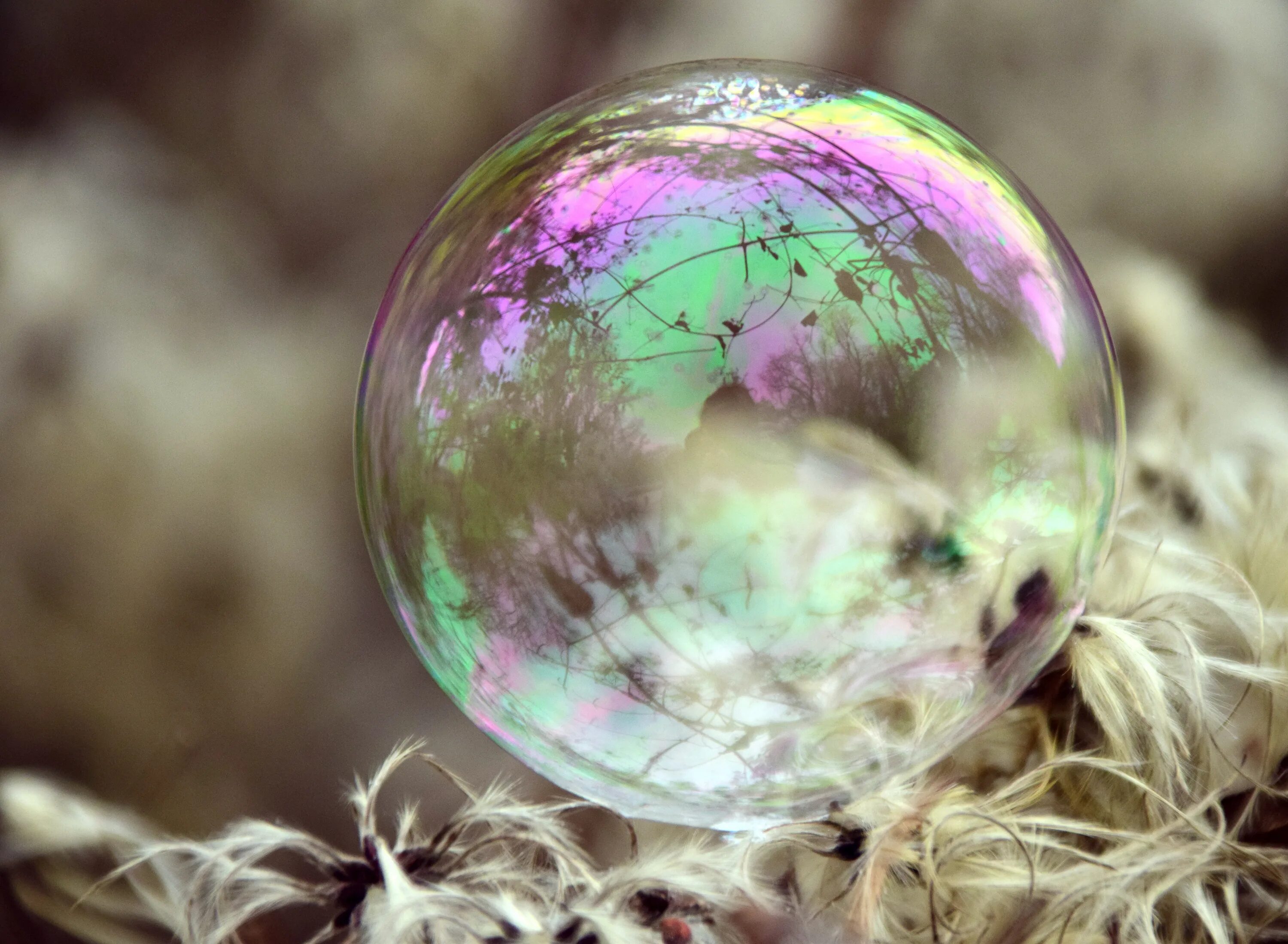 Жил был шар. Мыльные пузыри. Красивые мыльные пузыри. Красивые пузыри. Мыльные пузыри на природе.