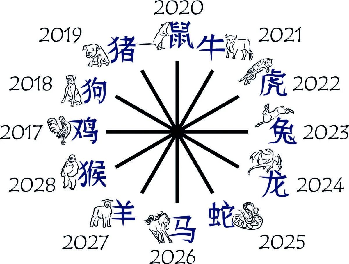 Какой год наступает 22. 2022 Год кого. 2023 Год какого. Следующий год год кого будет 2023. Китайский гороскоп животные.