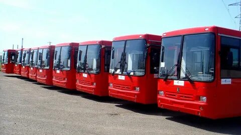 Много автобусов