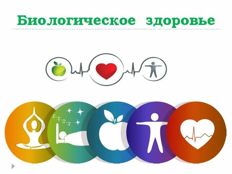 Level health. Биологический уровень здоровья. Компоненты биологического здоровья. Уровни здоровья. Показатели здоровья иллюстрация.