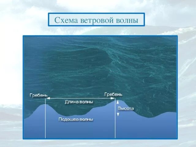 Строение ветровых волн. Схема волны. Схема движения воды в океане. Высота волны. Подошва волны это