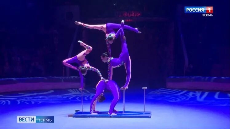 Грация пермь цирковой коллектив. Грация пермь цирковой коллектив. Грация пермь. Сабирзянова гузель салимьяновна пермь цирковая студия грация. Конкурс цирковых студий.