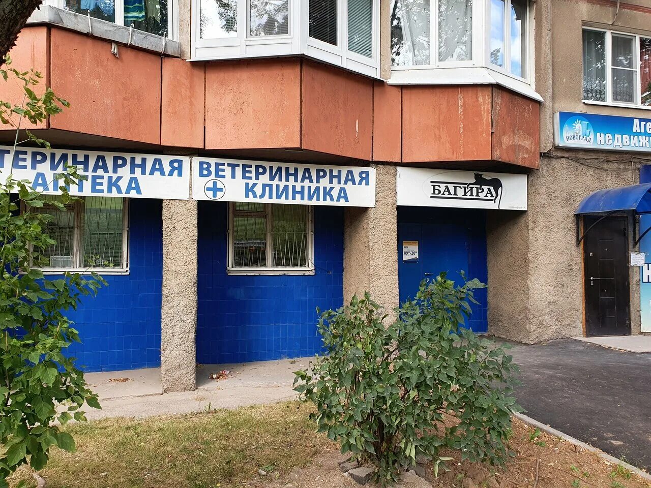 ветеринарная клиника багира астрахань. ветеринарная клиника псков. ветклиника фасад. ветеринарная клиника ангарск. ветеринарная клиника вывеска.