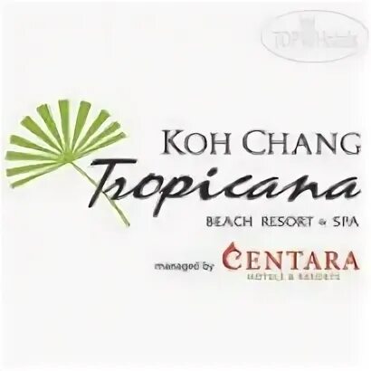 Tropicana resort 3