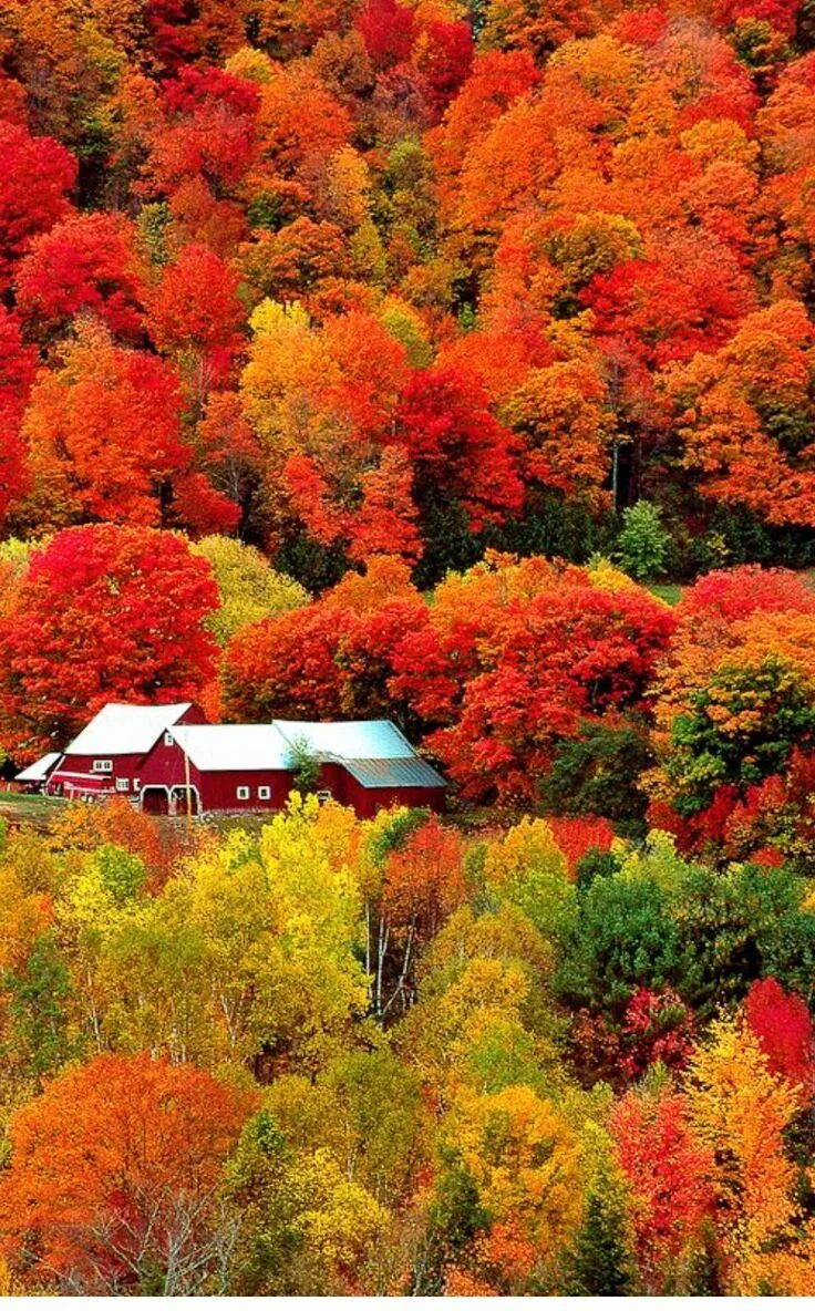 Hot autumn