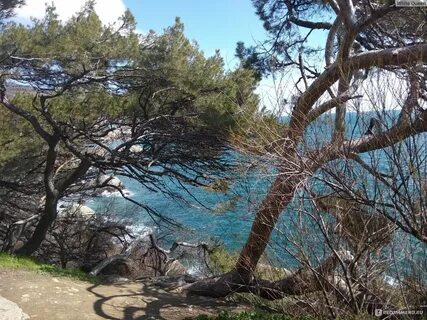 Алупка отзывы