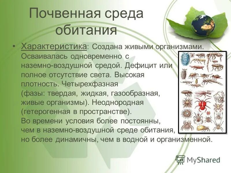 Внутриорганизменная среда обитания характеризуется