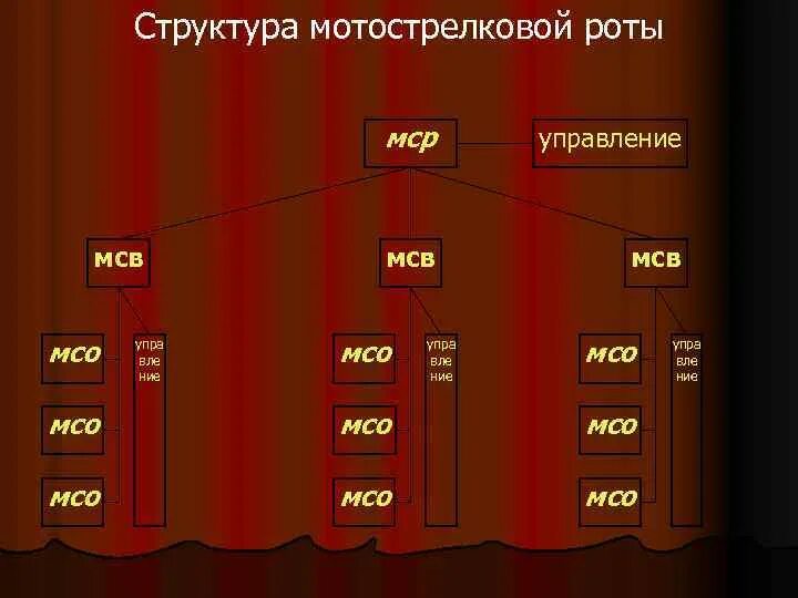 Состав мотострелковой роты. Управление мотострелковой роты. Структура роты. Структура мотострелкой роты.