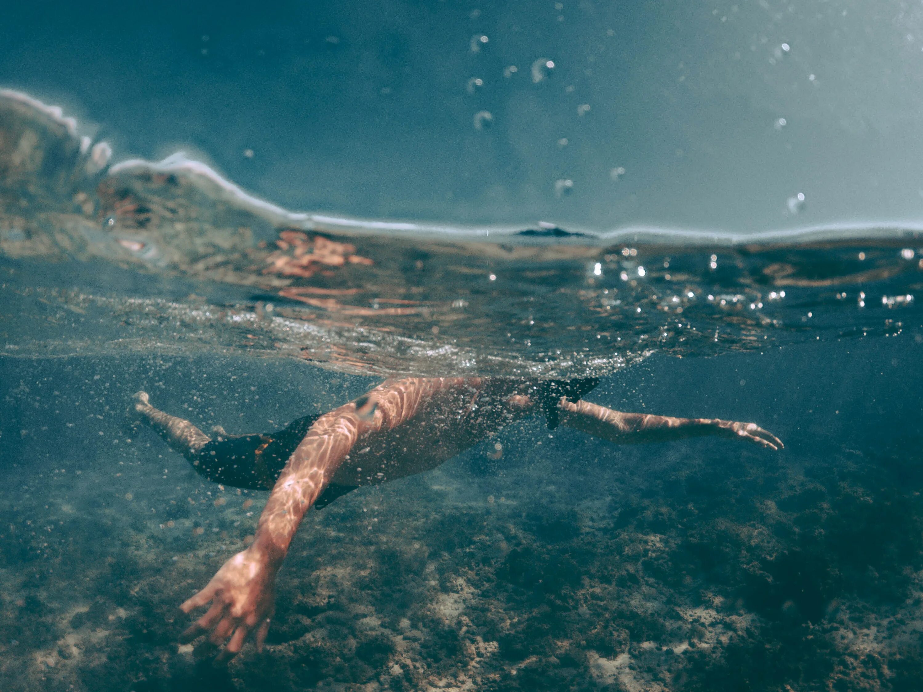 Свободно дрейфуют в воде