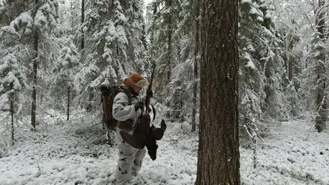 Рассказы про тайгу и охотников слушать