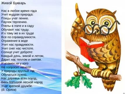 Нас в любое время года учит