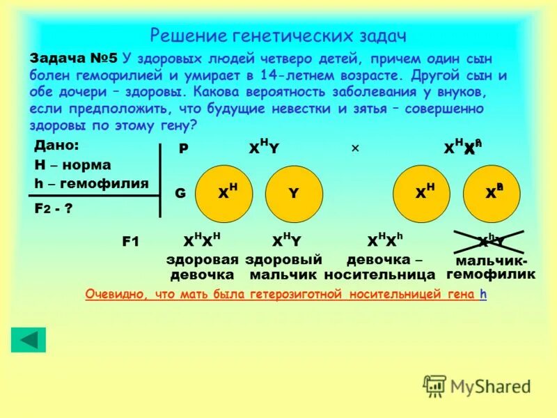 решение генетических задач 9 класс презентация