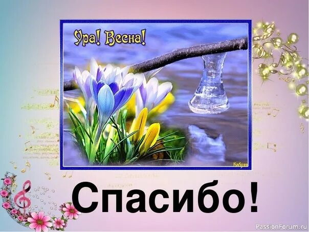 Весеннее благодарю. Спасибо с весной. Спасибо за внимание Весеннее. Открытки спасибо весенние. Спасибо и вас с весной.