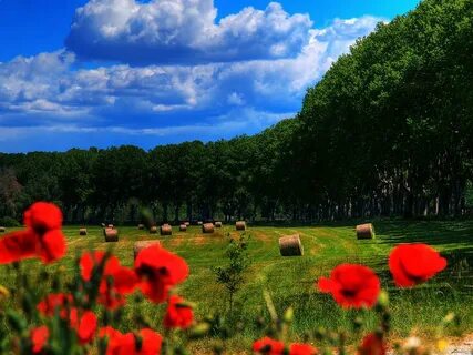 Как природа хороша