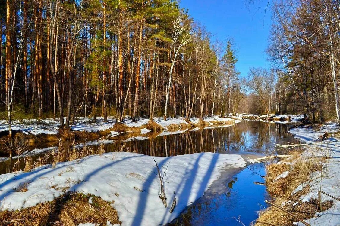 Весенняя Проталинка Левитана. Природа весной. Spring is russia