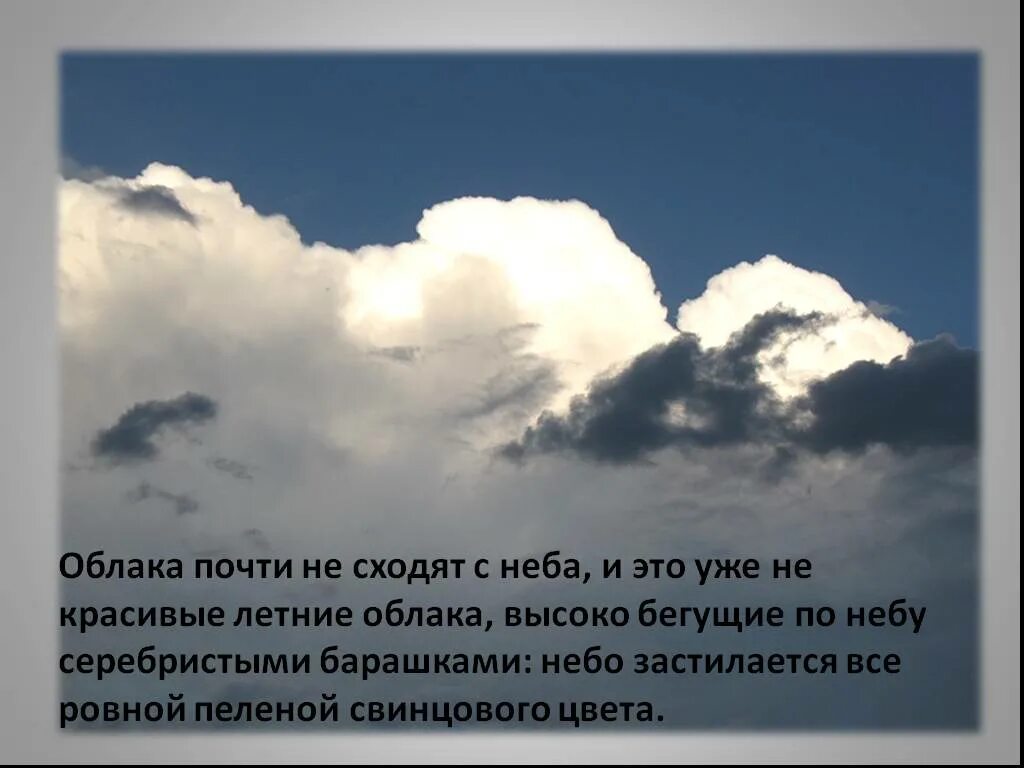 Оттого что облака почти касались. Облако цитата. Красивые фразы про облака. Про тучи афоризмы. Облако для фразы.