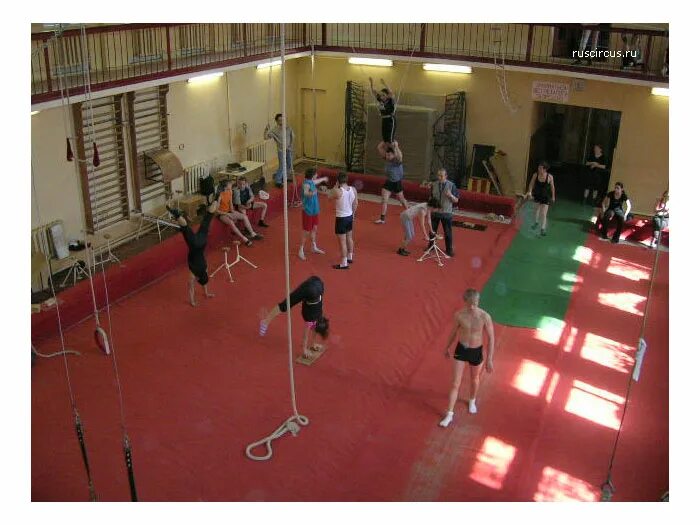 Гуцэи москва. Училище эстрадно циркового искусства. Гуцэи цирковое училище. Гуцэи цирковое училище. Цирковое училище имени румянцева.