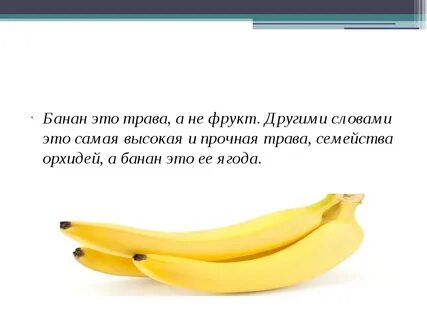 Сколько детей у банана