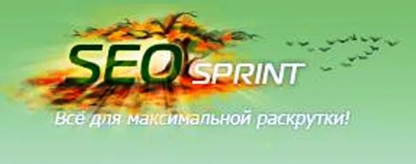 Сеоспринт. Seosprint логотип. ООО спринт.