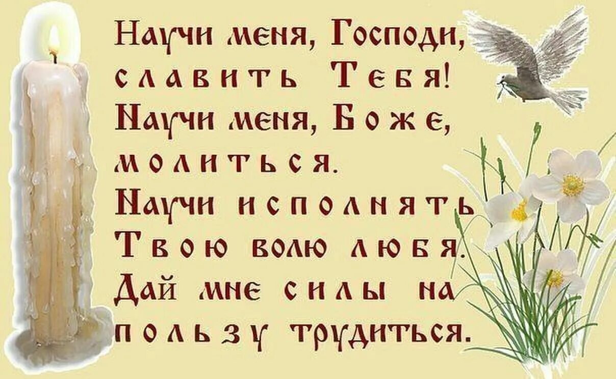 Научи Господи. Научи меня Господи славить тебя. Господи научи нас молиться. Да будет Воля твоя Господи. Господи да будет твоя