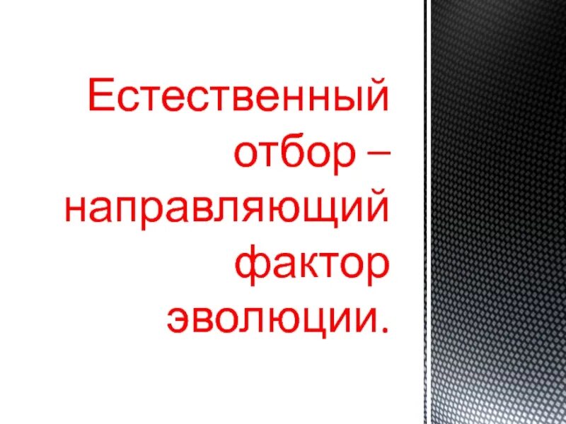 Презентация естественный отбор направляющий фактор эволюции. Направляющий фактор естественного отбора. направленные и ненаправленные факторы эволюции. направляющий фактор эволюции. основные факторы эволюции.