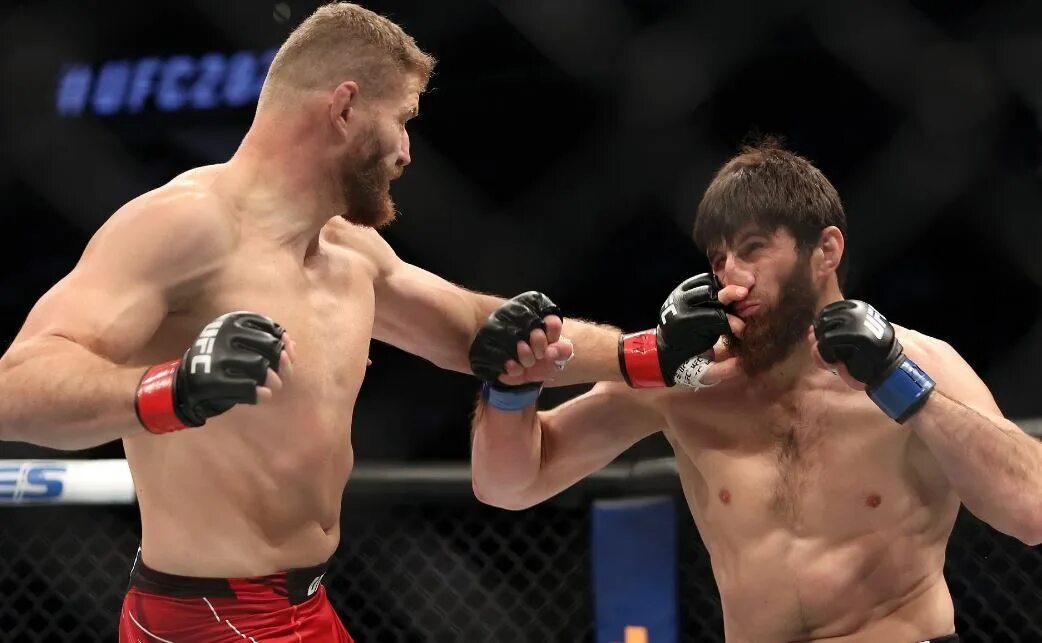 Немков последний бой 2022. Фил дэвис немков. Немков андерсон. Немков мма. Немков последний бой 2024.