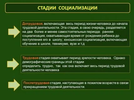Стадии трудового процесса по мере их развития