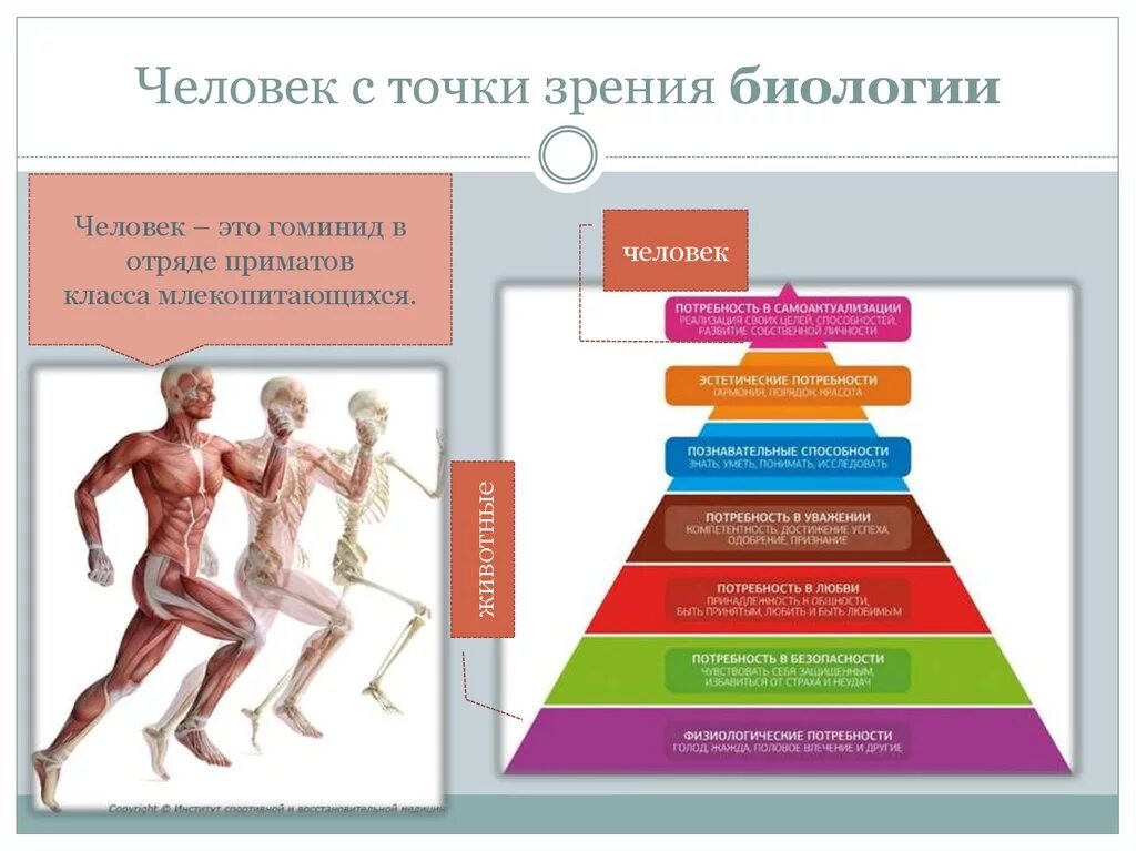 С точки зрения пользователя. Человек с биологической точки зрения. С точки зрения биологии. Личность с точки зрения биологии. Биологические точки человека.