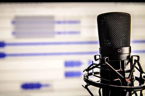 Voice mic
