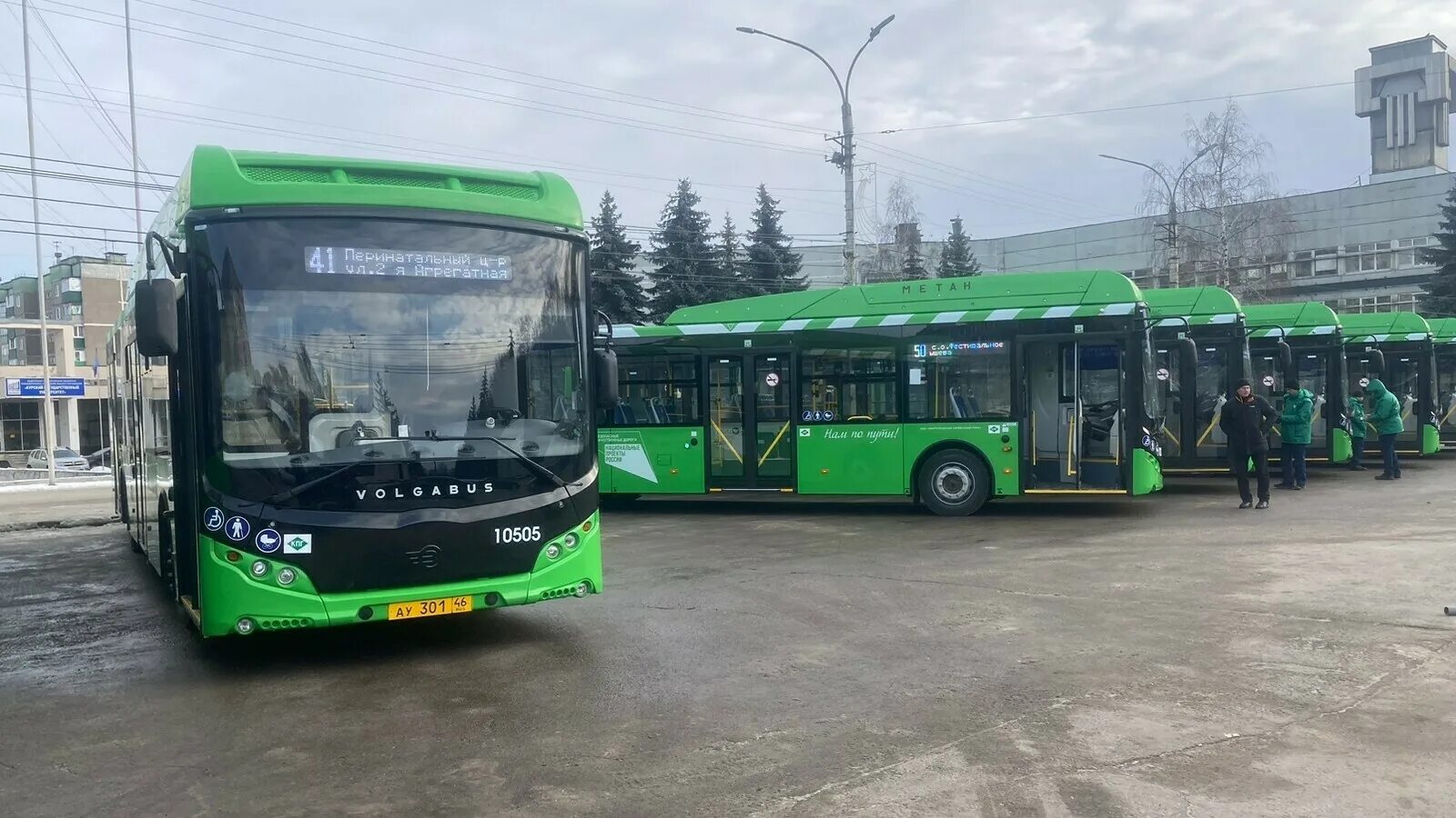 Новые автобусы. Volgabus курск. Новые курские автобусы. Новые курские автобусы. Курский общественный транспорт.