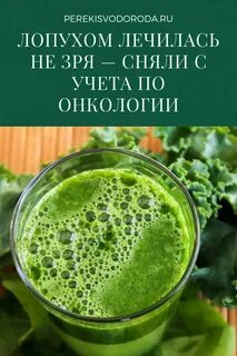 Сок лопуха что лечит отзывы