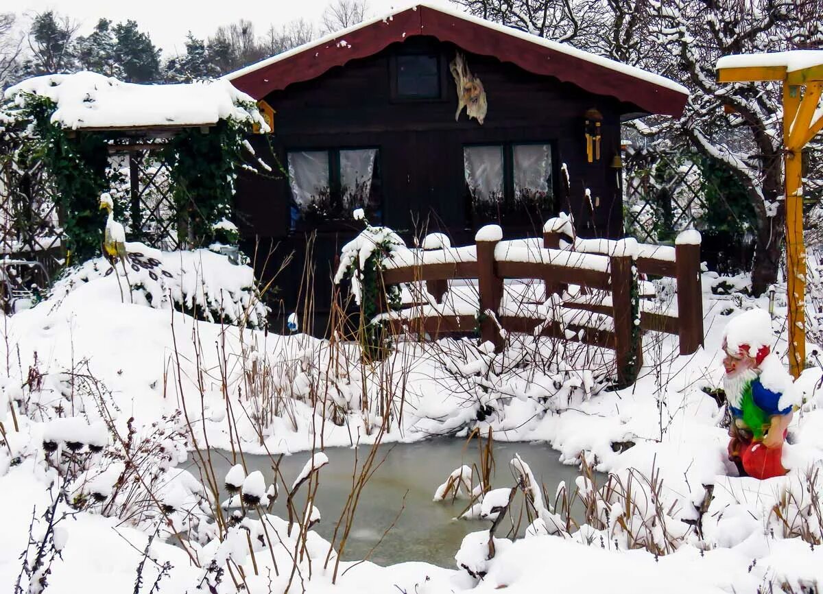 Зима. Работы в феврале в саду и огороде. Деревья в саду зимой. Сад весной. Сад зимой.