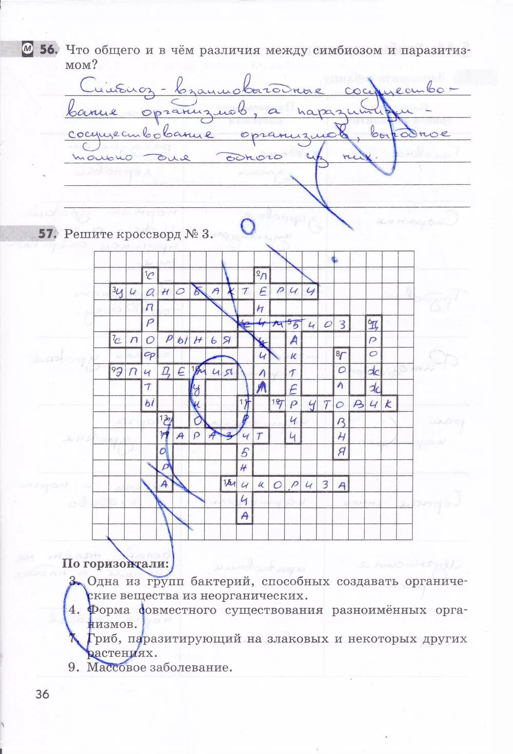 Задание для любознательных биология 5 стр 75. Задание для любознательных биология 5 стр 75